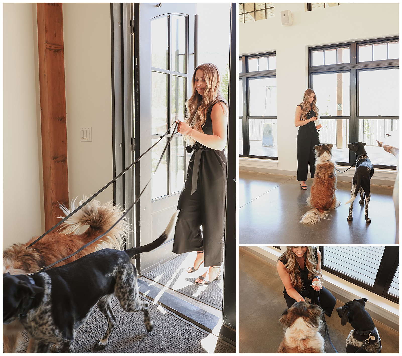 A woman in black pants and top is leading three leashed dogs through a door. Two additional photos show her interacting with the dogs indoors.