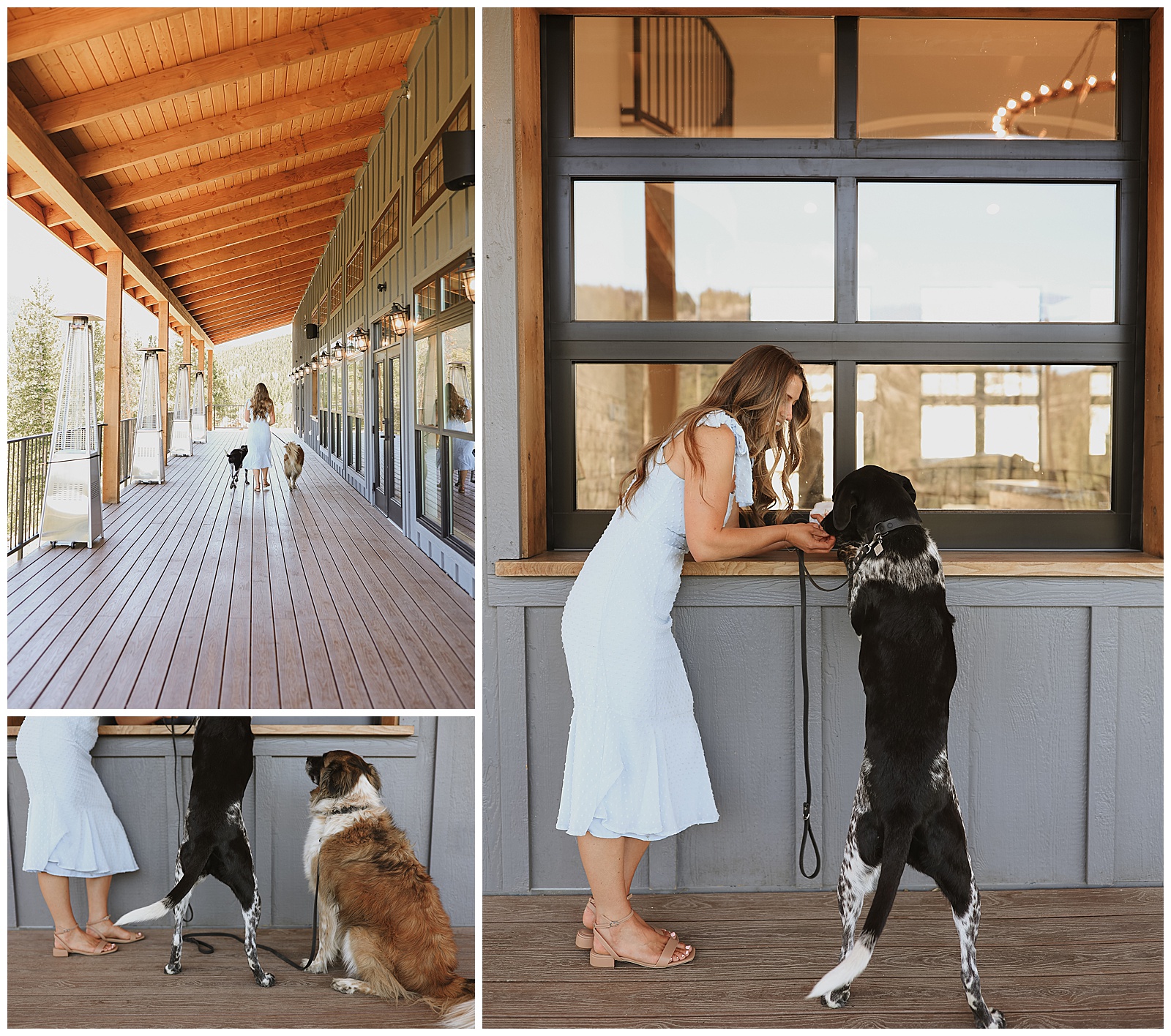 A woman in a white dress interacts with two large dogs on a wooden deck: one dog stands with paws on a counter, and the other sits beside her.