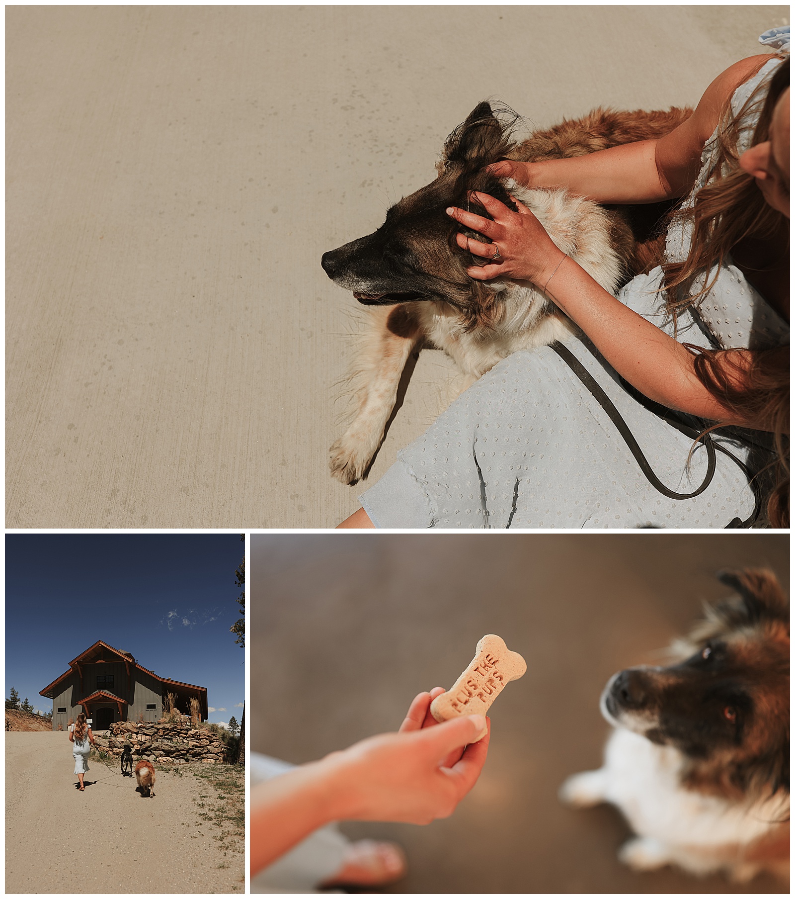 A person pets a large dog. Below, the same person walks the dog near a house. Close-up of a hand holding a bone-shaped dog treat with text.