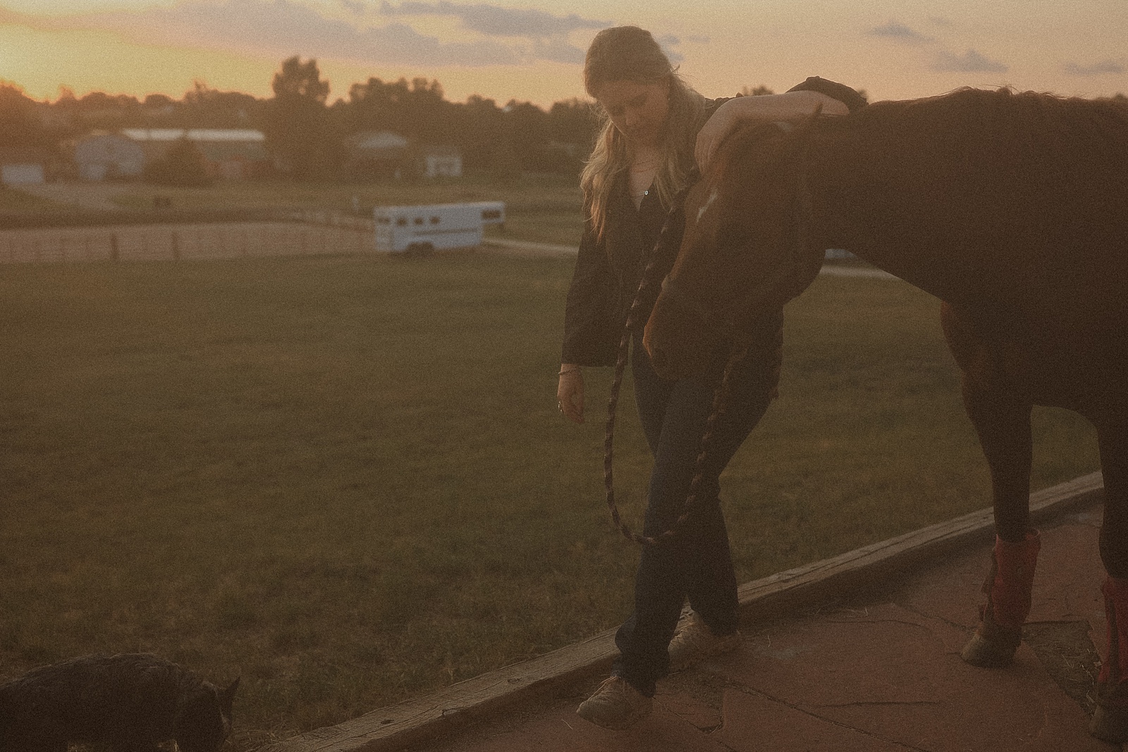 A woman walks a horse along a path at sunset, with a dog nearby and a white trailer in the background.