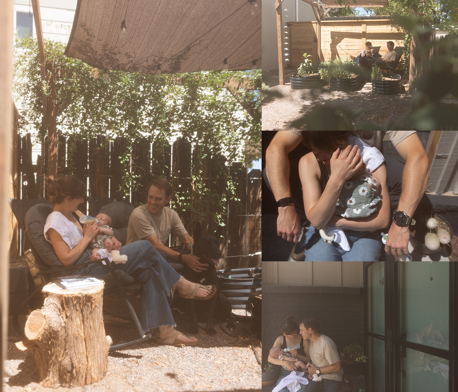 A family with a baby sits and relaxes in a sunny Colorado backyard garden, chatting and cuddling under shaded areas, capturing the warmth of in-home family photography.