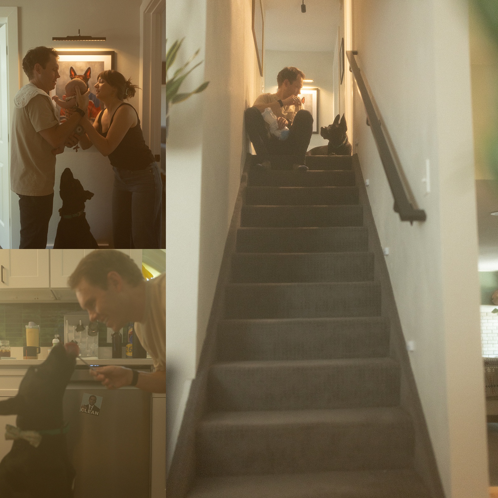 A man and woman interact with a black dog in their home, including playing by a painting, sitting on stairs, and giving the dog a treat in the kitchen—capturing the ordinary beauty of everyday moments through in-home family photography.