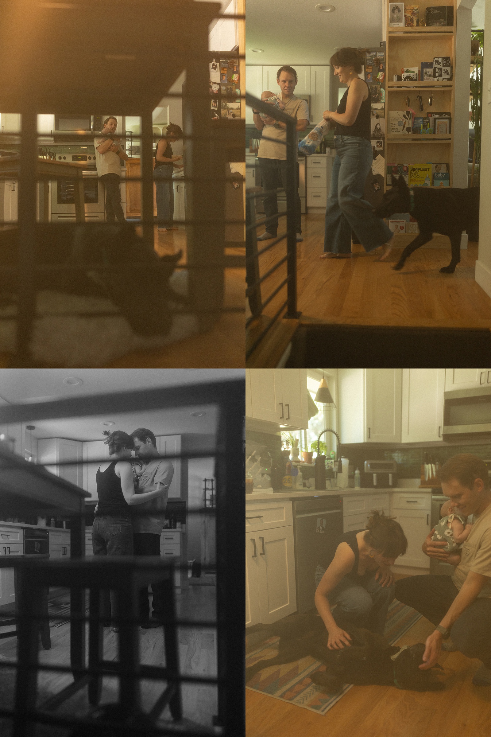 Four photos show two people and a black dog interacting in a kitchen, with scenes including petting the dog and standing together by the kitchen island. This cozy glimpse into everyday life beautifully captures the warmth of in-home family photography in Colorado.